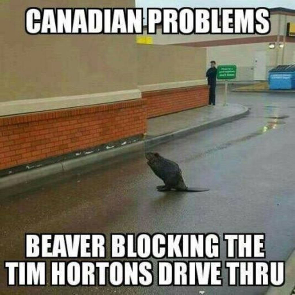 funny-memes-canada-day